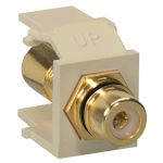 Leviton Blk Stripe Gld Pltd Ivry