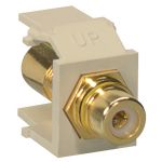 Leviton Ylw Stripe Gld Pltd Ivry