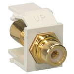 Leviton Yllw Stripe Gld Pltd Lite