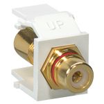 Leviton Red Stripe Gld Pltd Wht