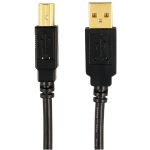 Axis Cable Usb Male A-b 6'