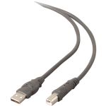 Belkin 6ft Hi-spd Usb 2.0 Cable