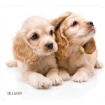 Allsop Natursmrt Mouse Pad Puppy