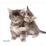 Allsop Natursmrt Mouse Pad Kittn