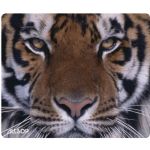 Allsop Tiger Mouse Pad