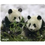 Allsop Panda Naturesmart Mouse