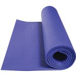 Gofit Double Thick Yoga Mat