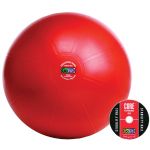 Gofit 65cm Pro Stability Ball