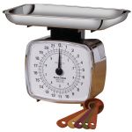 Salter Highcapacity Chrome Scale